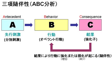 態度理論|態度と随伴性